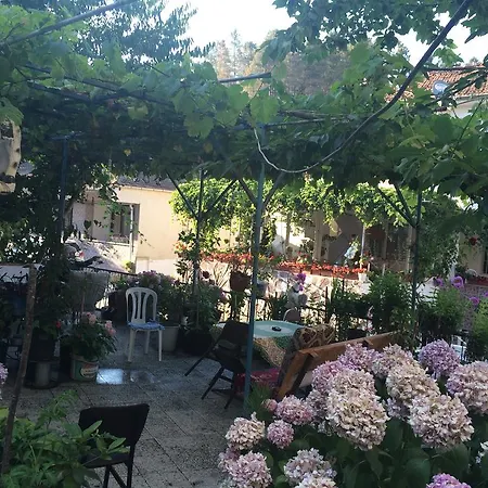 Yavuz Apart Daire Yalova (Yalova)